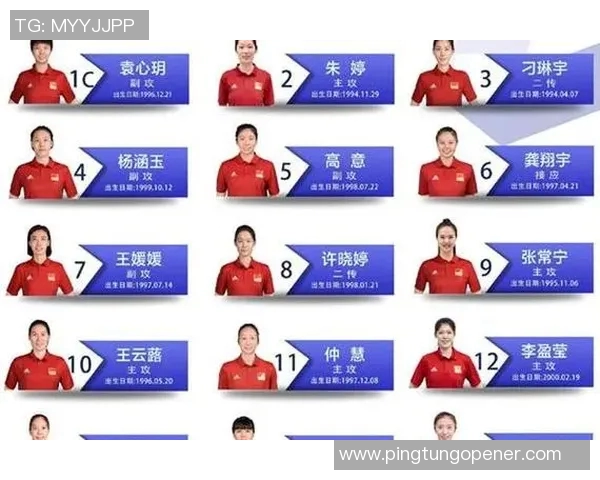南京排球队的整体压制策略解析与深度剖析排球竞技的魅力与挑战