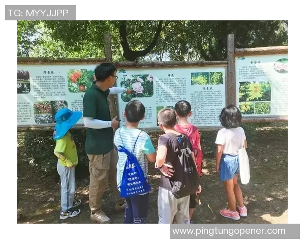 南京乒乓球队耐力训练的挑战与突破探索之旅